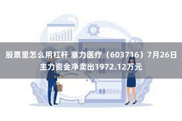 股票里怎么用杠杆 塞力医疗（603716）7月26日主力资金净卖出1972.12万元