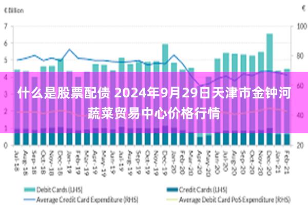 什么是股票配债 2024年9月29日天津市金钟河蔬菜贸易中心价格行情