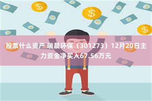 股票什么资产 瑞晨环保（301273）12月20日主力资金净买入67.56万元