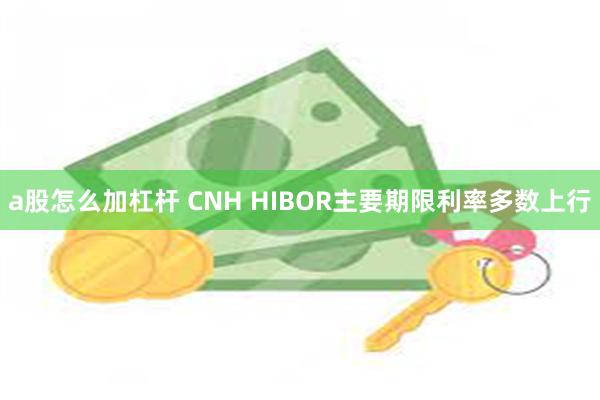 a股怎么加杠杆 CNH HIBOR主要期限利率多数上行