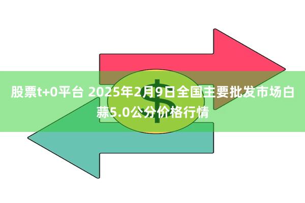 股票t+0平台 2025年2月9日全国主要批发市场白蒜5.0公分价格行情